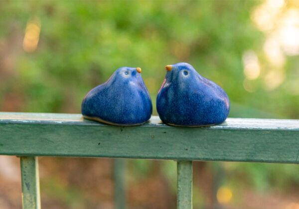 Pair of blue birds sharing a nest - Image 2