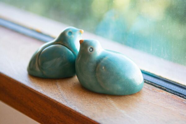 Pair of turquoise birds sharing a nest - Image 2