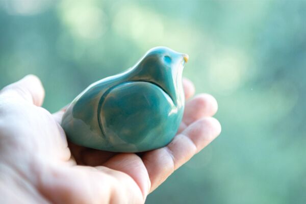 Pair of turquoise birds sharing a nest - Image 3