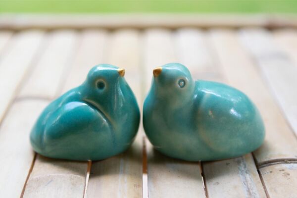 Pair of turquoise birds sharing a nest - Image 4