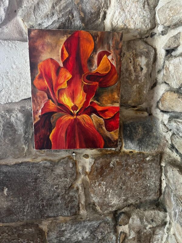 The flower of love and passion - Image 2