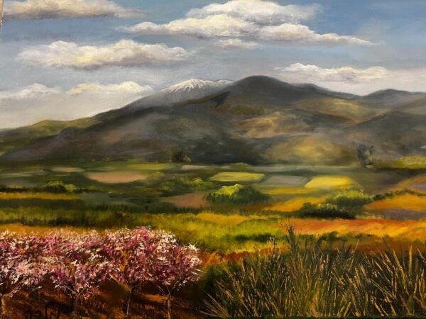 Dip in green - Galilean landscape - Image 5