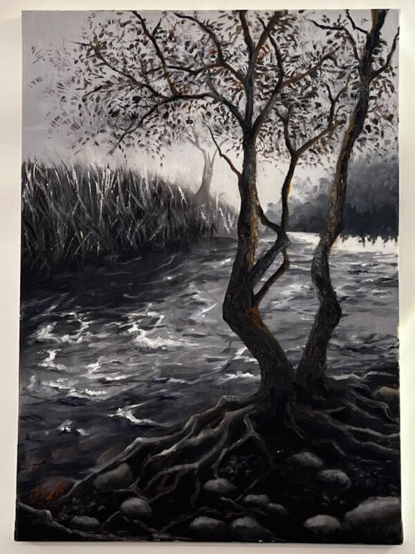 black and white river - Image 2