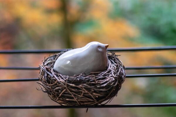 White bird in a nest - Image 4