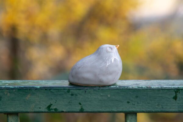 White bird in a nest - Image 3