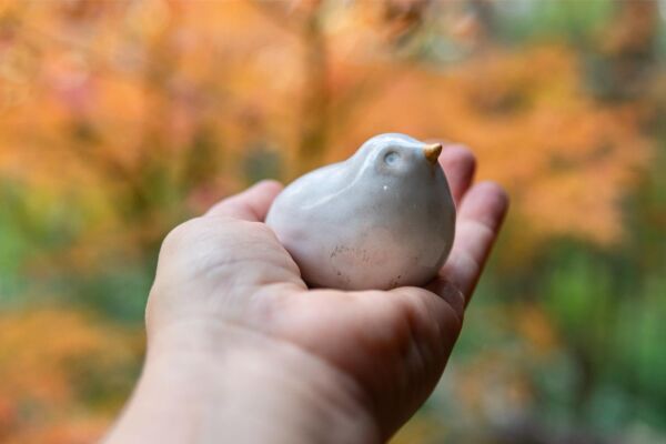 White bird in a nest - Image 2