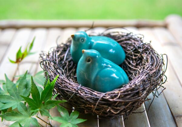 Pair of turquoise birds sharing a nest