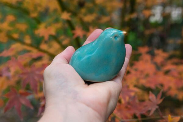 Turquoise bird in a nest - Image 5