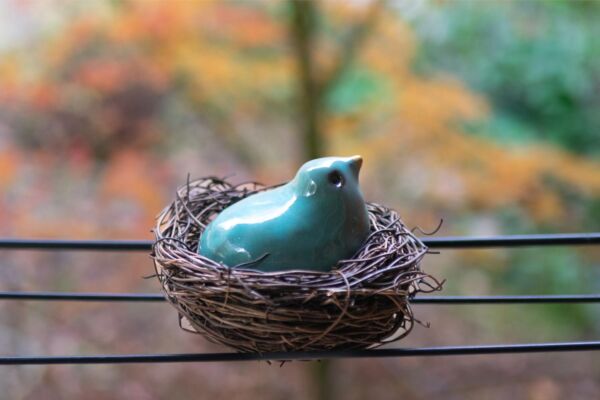 Turquoise bird in a nest - Image 2