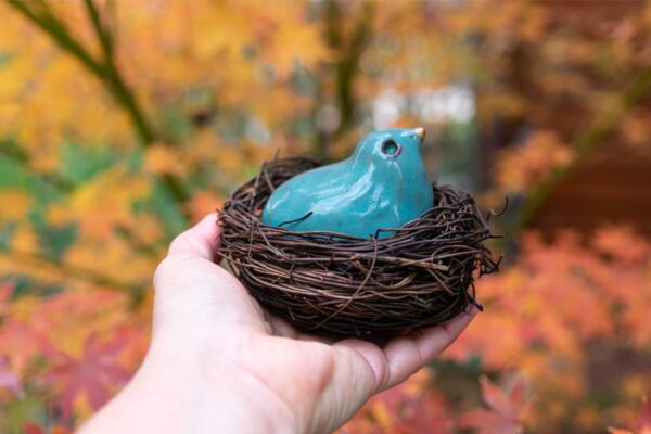 Turquoise bird in a nest