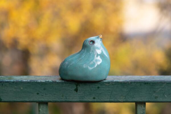Turquoise bird in a nest - Image 4