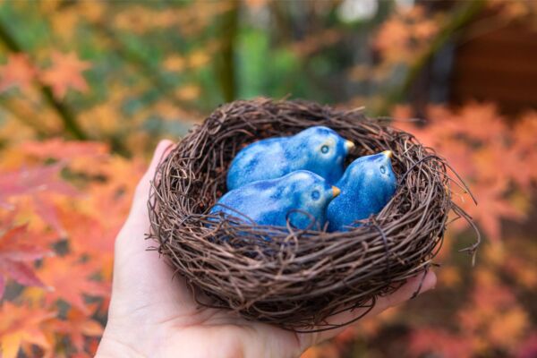 Three blue birds in a nest - Image 2
