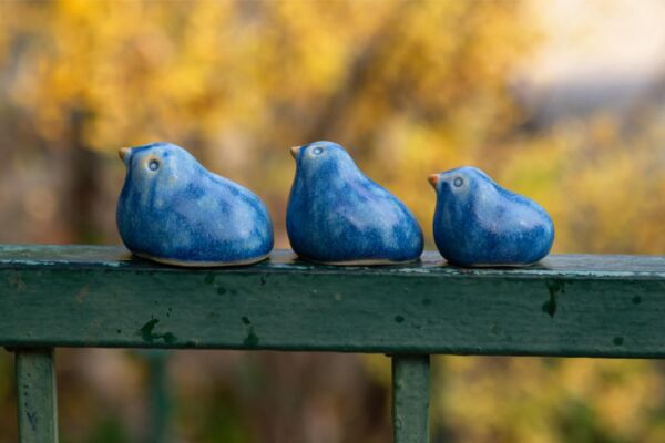 Three blue birds in a nest - Image 3