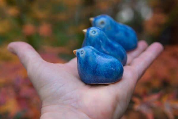 Three blue birds in a nest - Image 4