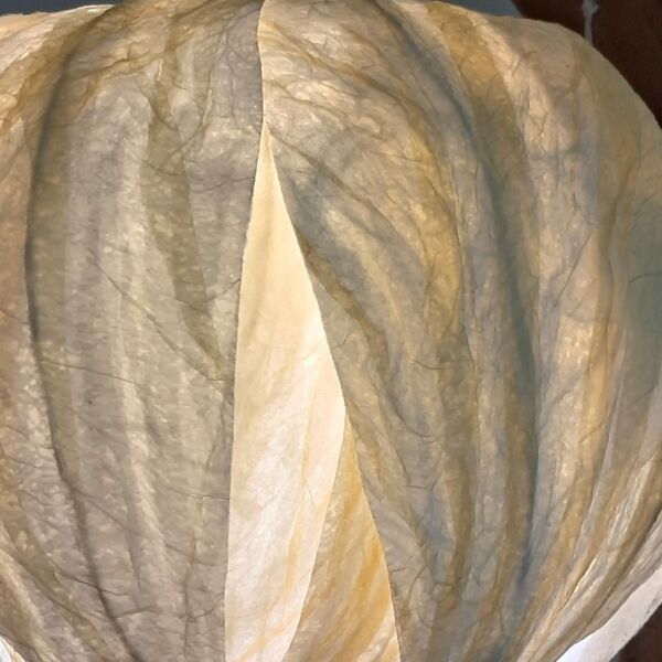 Lotus shape shade - Image 4