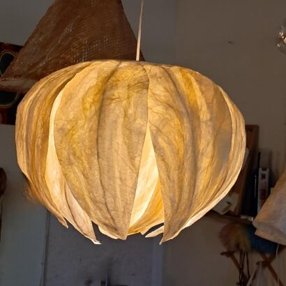 Lotus shape shade