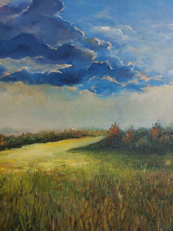 After the first rain - Image 2