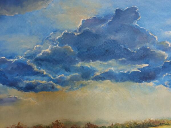After the first rain - Image 3