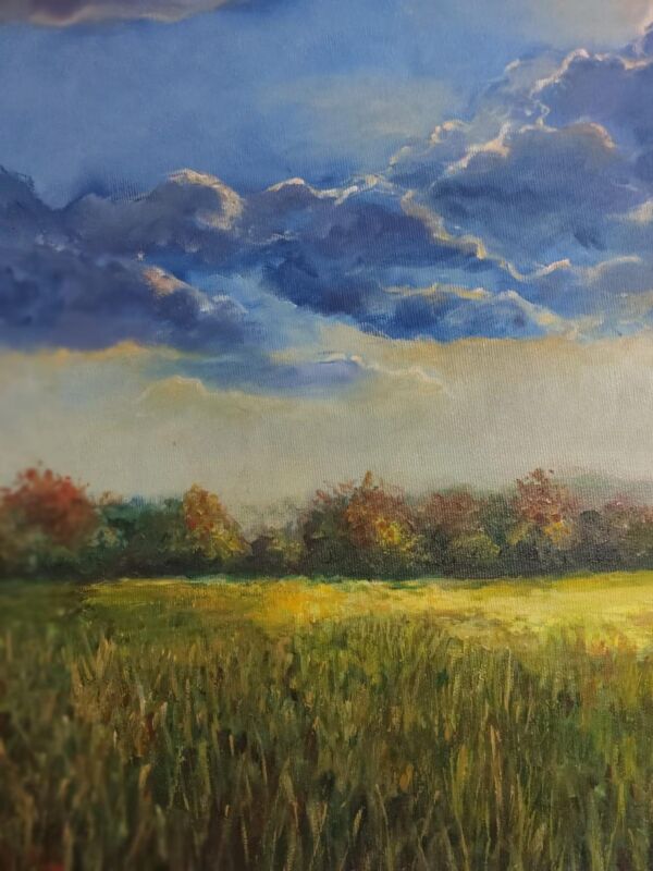 After the first rain - Image 5