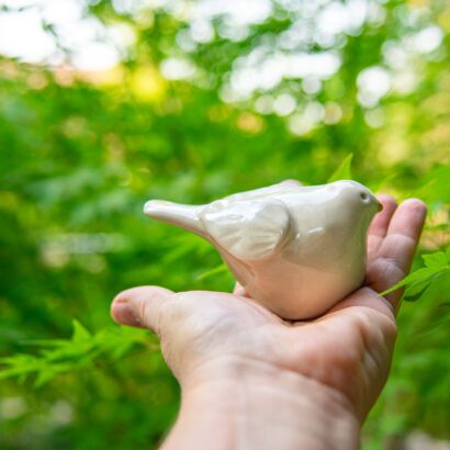 Peace Dove