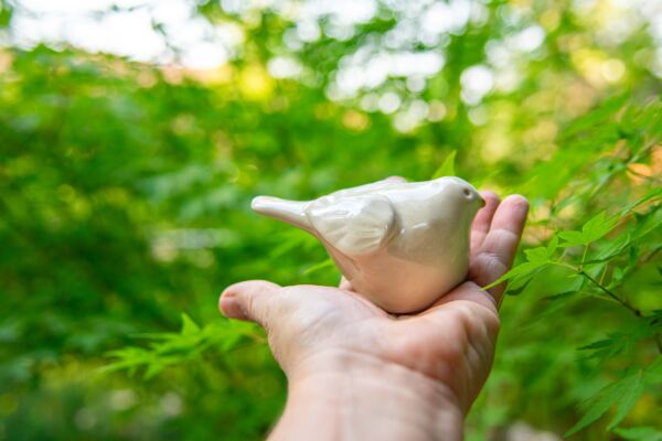 Peace Dove