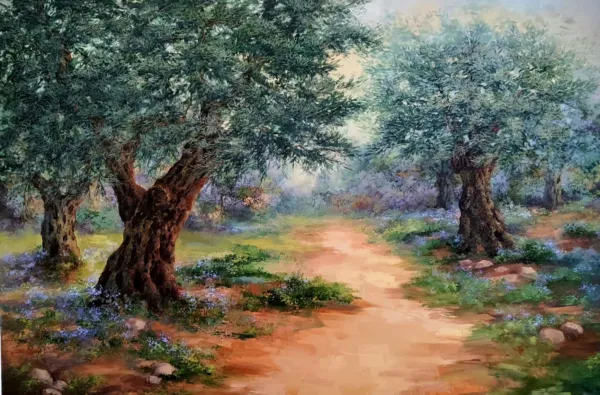 Olive Trees In The Rosh Pina Wadi