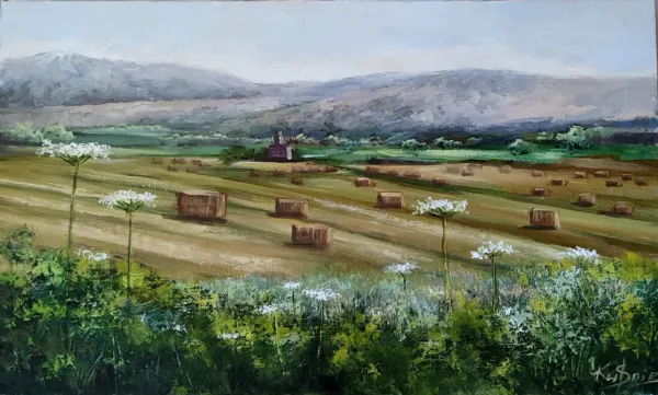 Galilean Wheat Field