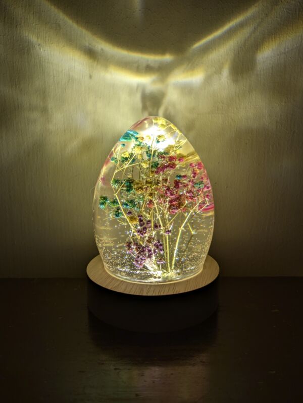 Colored Gypsophila Flowers