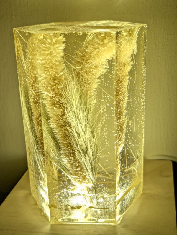 Wheat and Foxtail Grass - Image 2