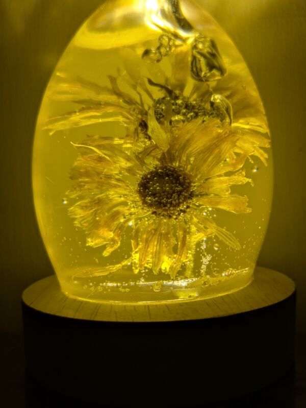 Calendula Flower - Image 4
