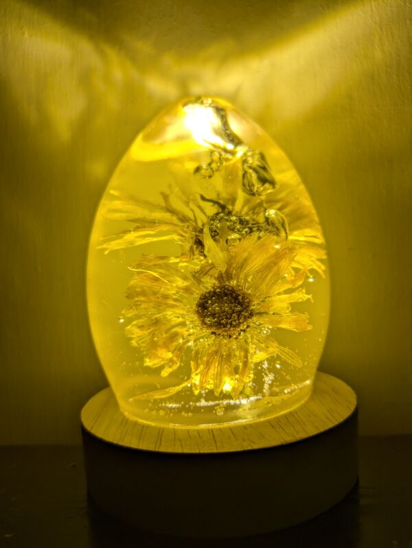 Calendula Flower - Image 3