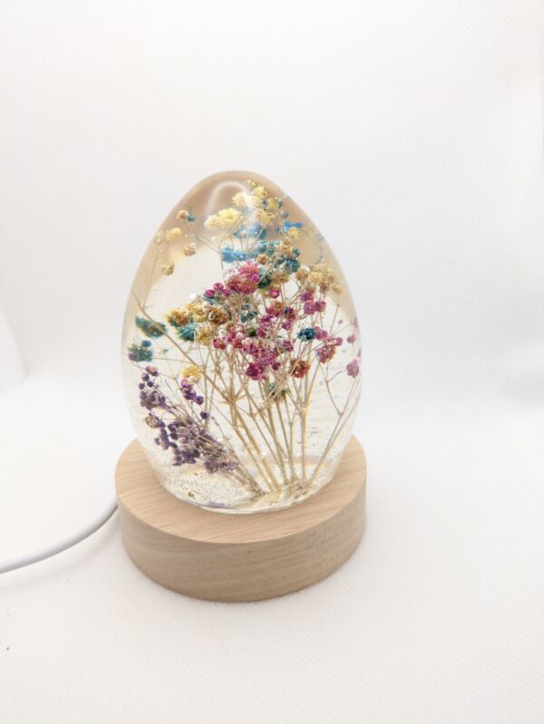 Colored Gypsophila Flowers - Image 3