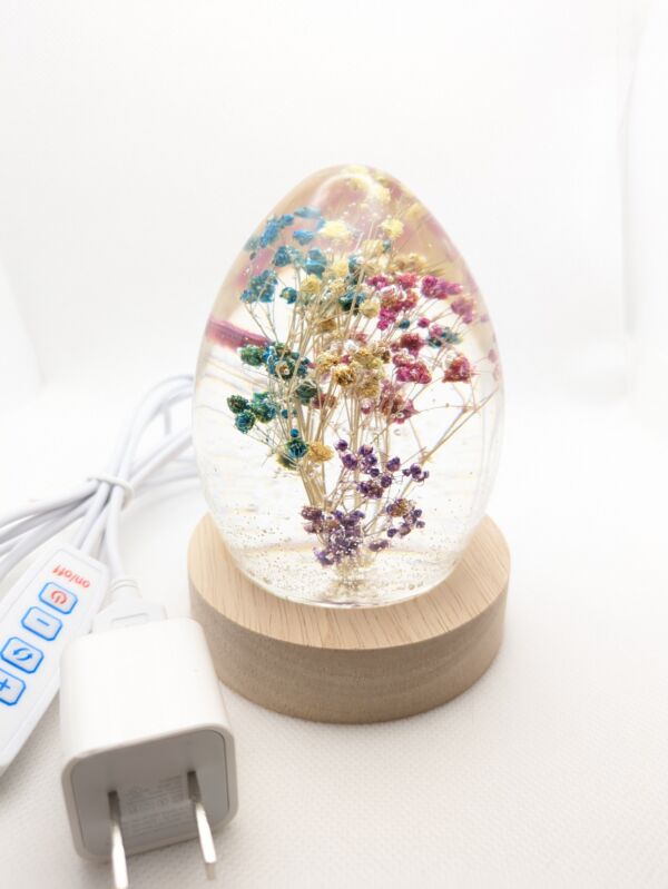 Colored Gypsophila Flowers - Image 4