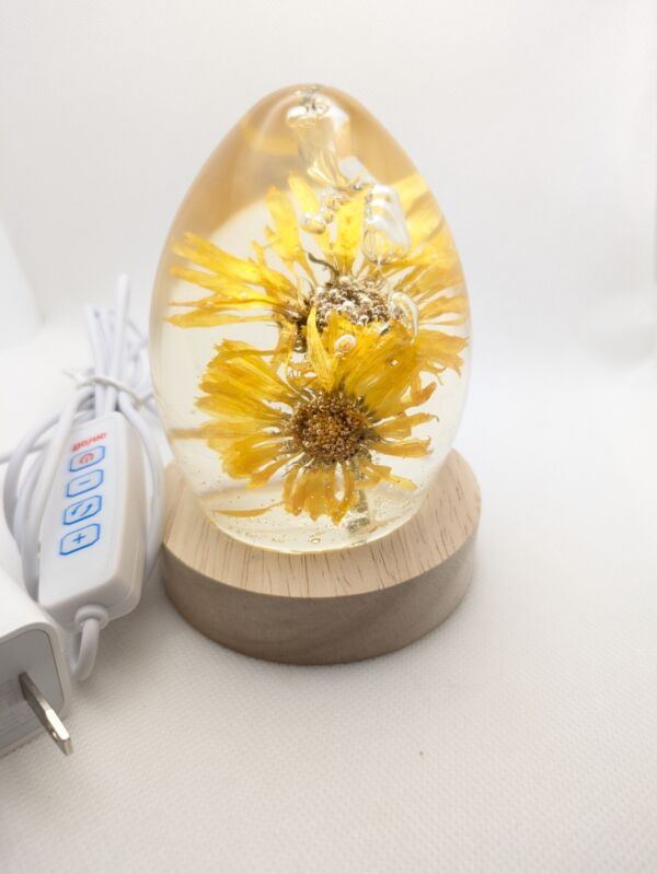 Calendula Flower - Image 2