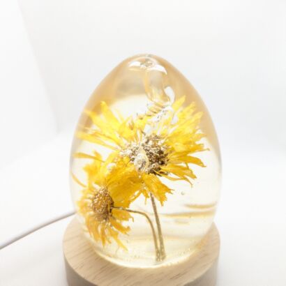 Calendula Flower