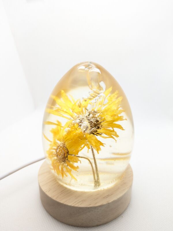 Calendula Flower