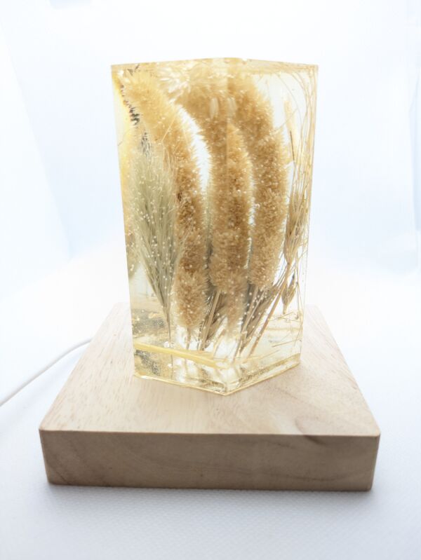 Wheat and Foxtail Grass - Image 3