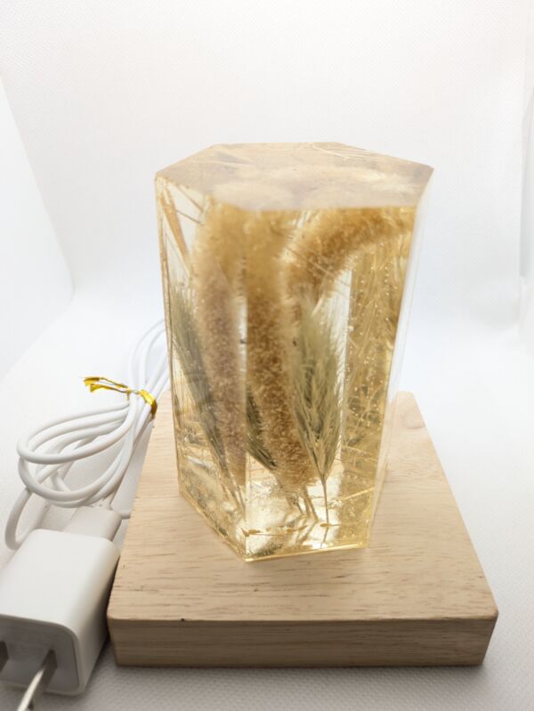 Wheat and Foxtail Grass - Image 4