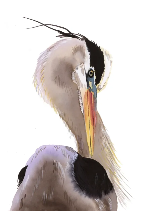 The Heron
