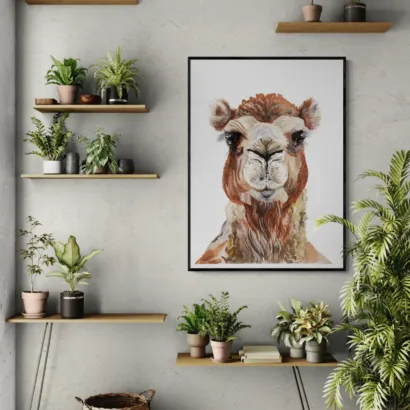 Hump of the Highlands