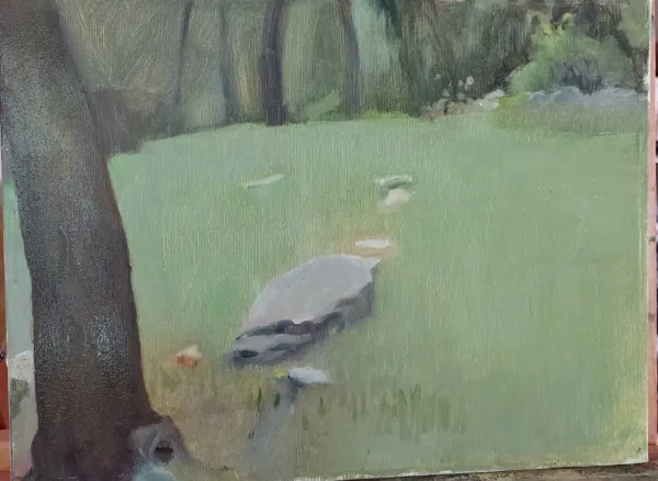 Clearance in the forest