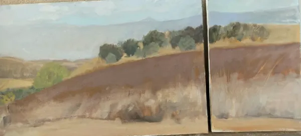 Field and Olives