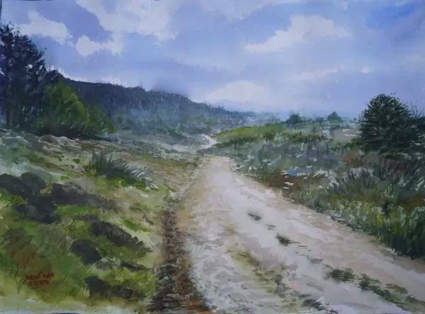 Galilee Forest Path