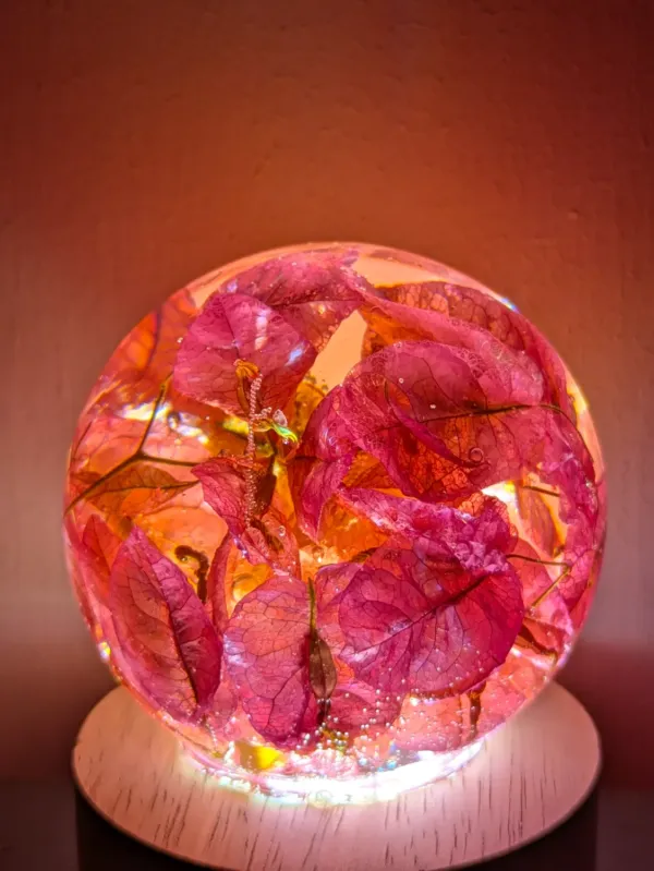 Pink Bougainvillea - Image 4
